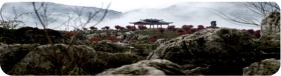 湖南旅游開發公司,懷化旅游開發公司,懷化峽谷探幽,懷化石林花山植物園